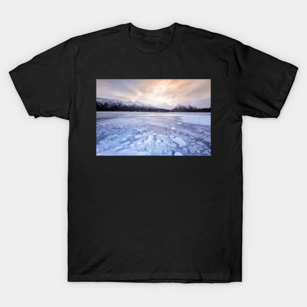 Frozen in the Ice of Time T-Shirt by krepsher